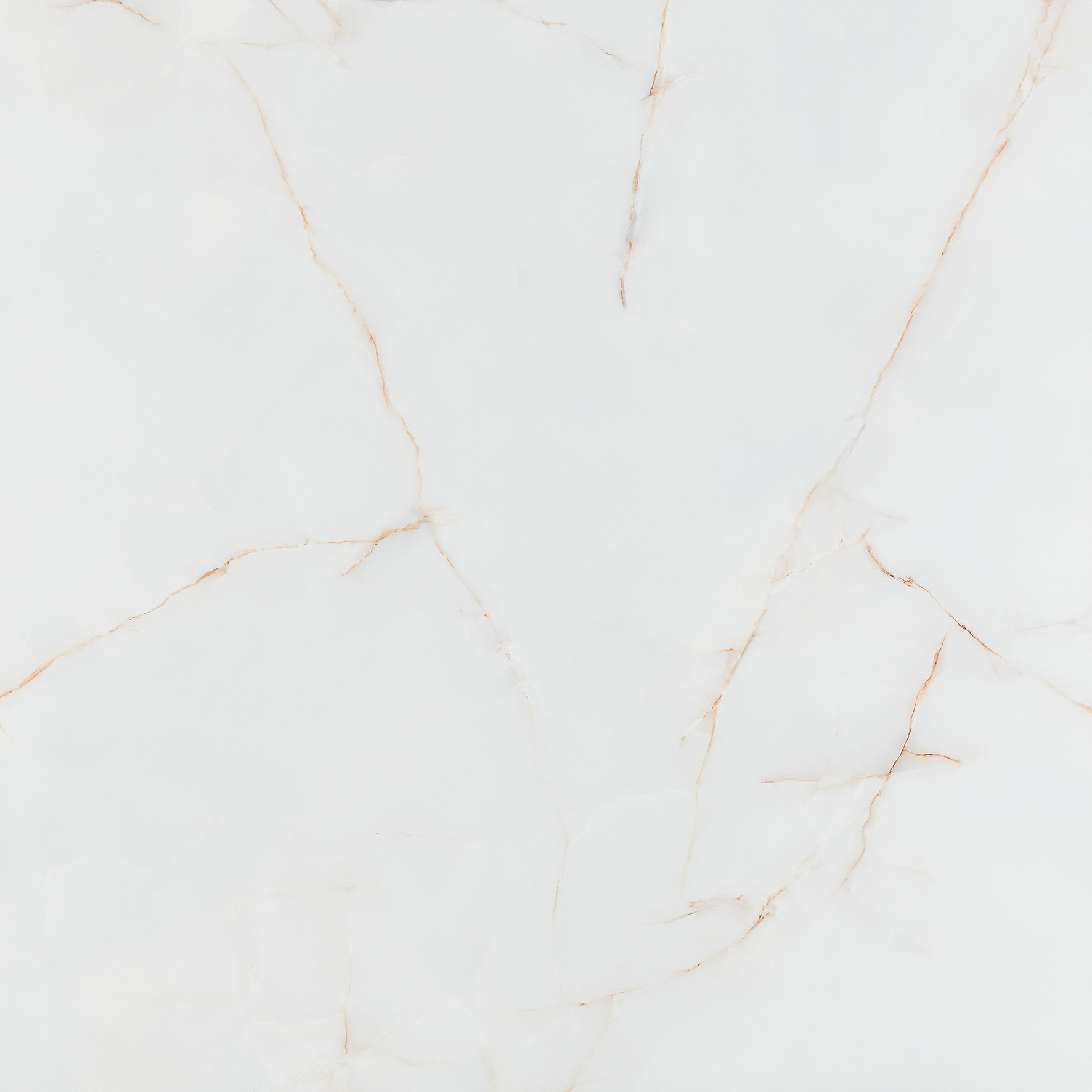 GELSA ORO 120x120