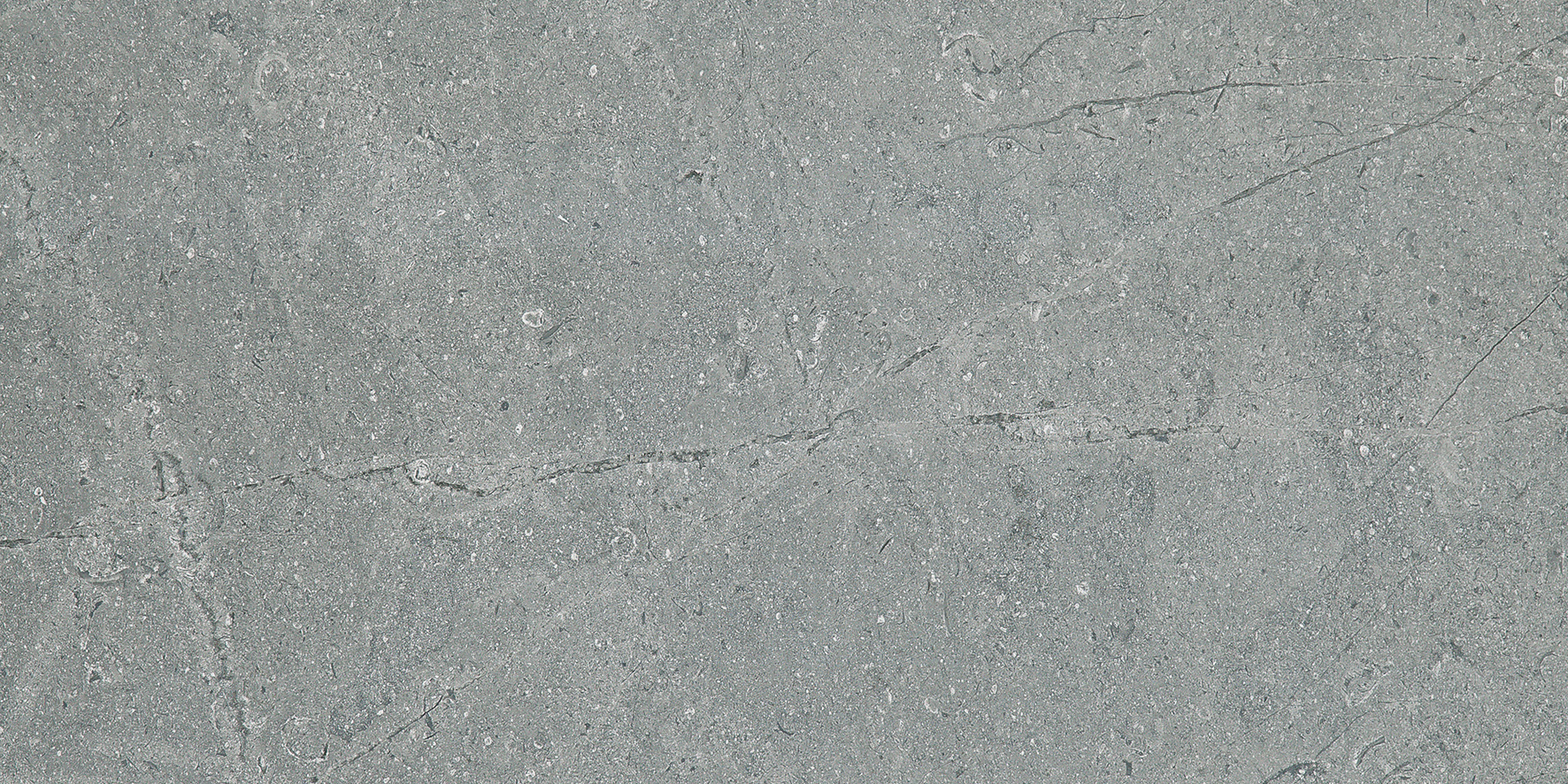 MONREALE GRIGIO 60x120(n)
